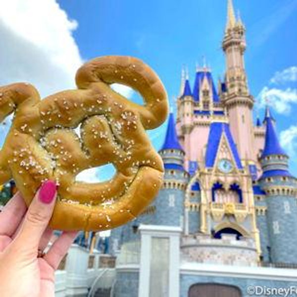 Disney World or Disney Land Trips..we can't choose