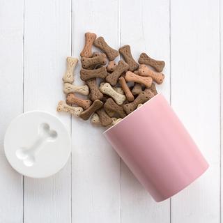 Pet Treat Jar
