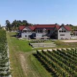 Bonobo Winery