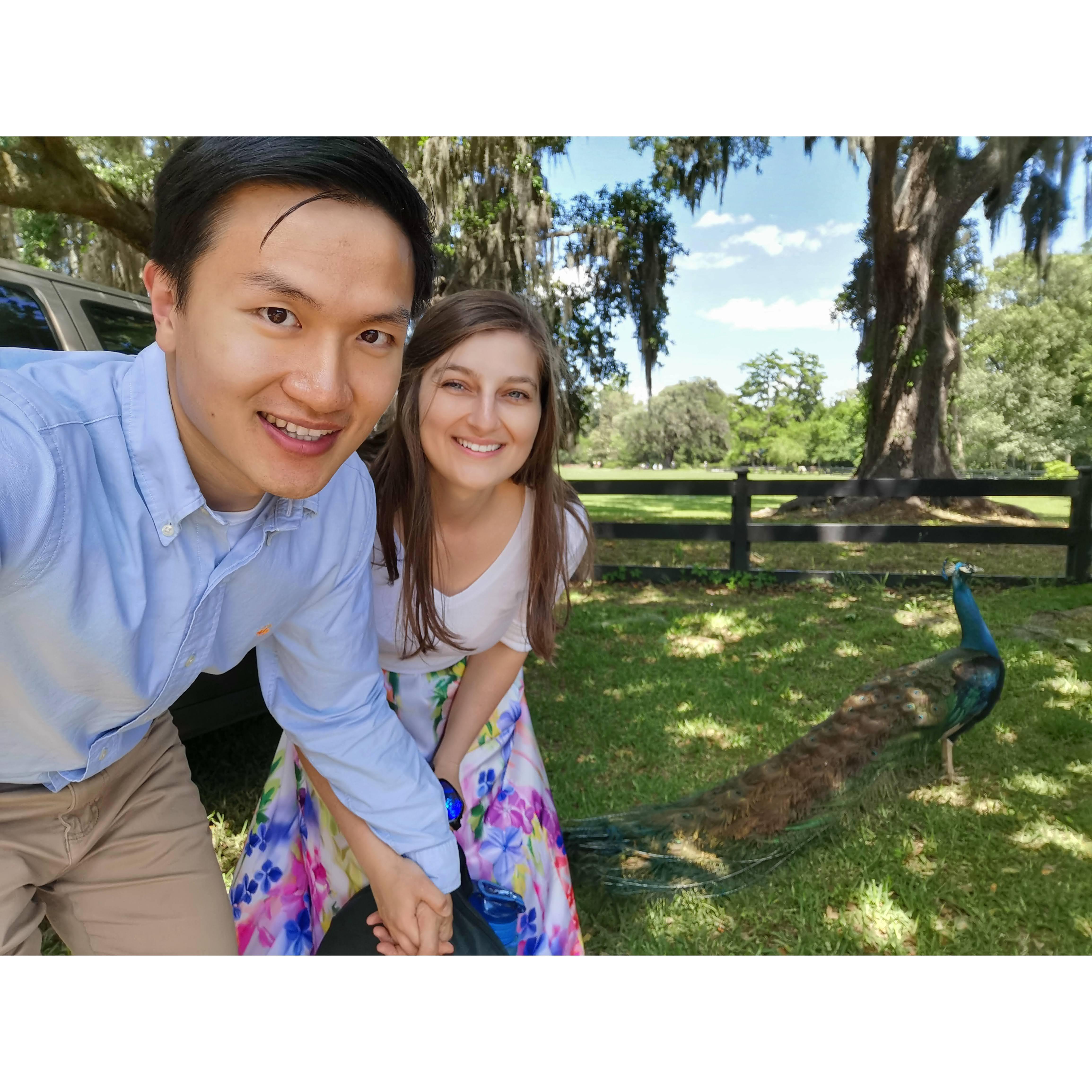 Animal lovers @Magnolia Plantations and Garden
