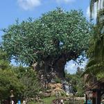 Disney's Animal Kingdom Theme Park