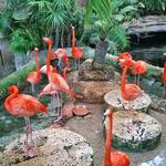 The Dallas World Aquarium