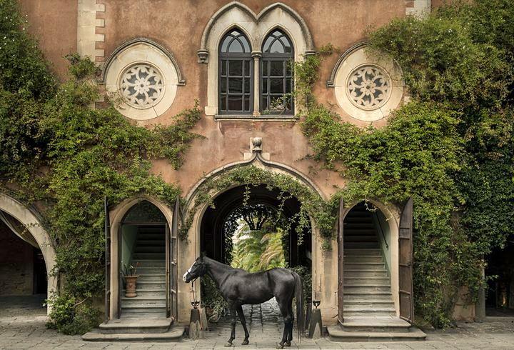 The Wedding Website of Gabriela Daszewska and Patrick Picollo