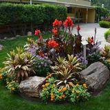 Reptile Gardens