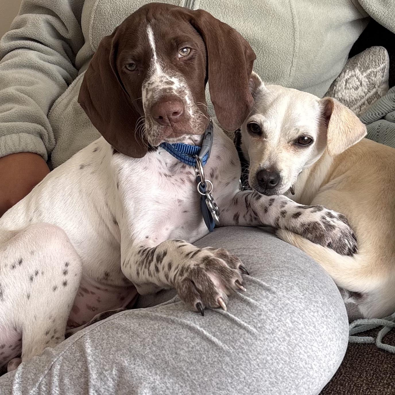 Butch and Lola 💗