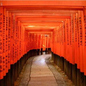 Tour in Kyoto