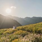 Albion Basin Meadows