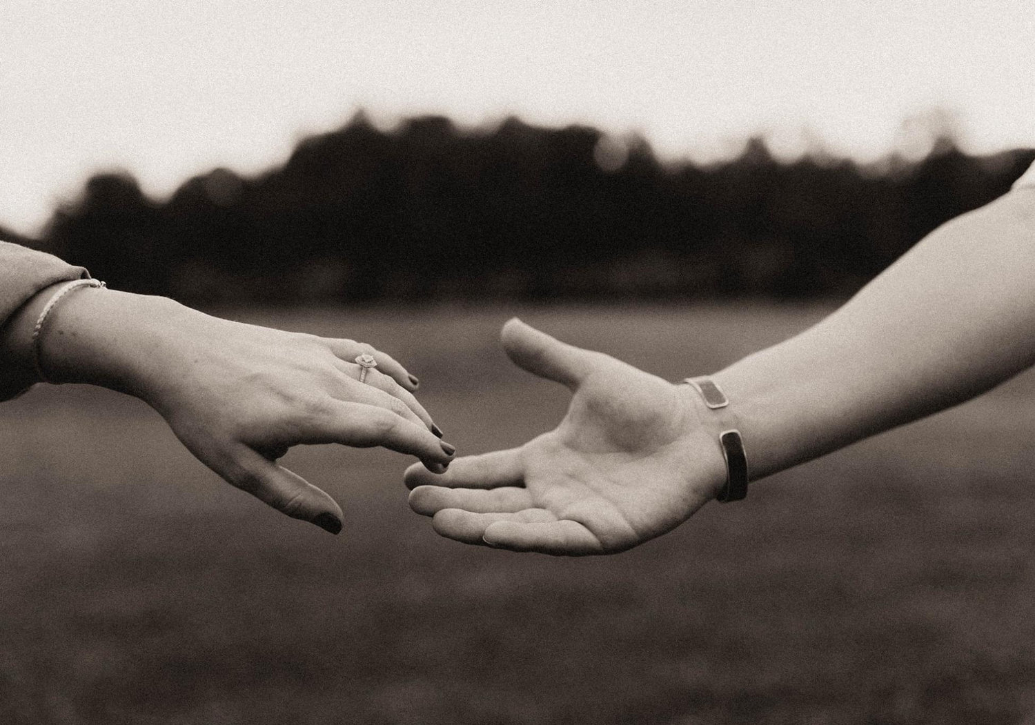 The Wedding Website of Leslie Turner and Webb Sistrunk