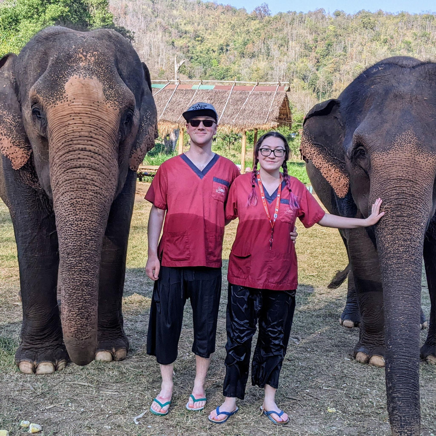 Feeding and making vitamins for elephants was one of the highlights of our trip to Southeast Asia