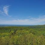 Shenipsit State Forest