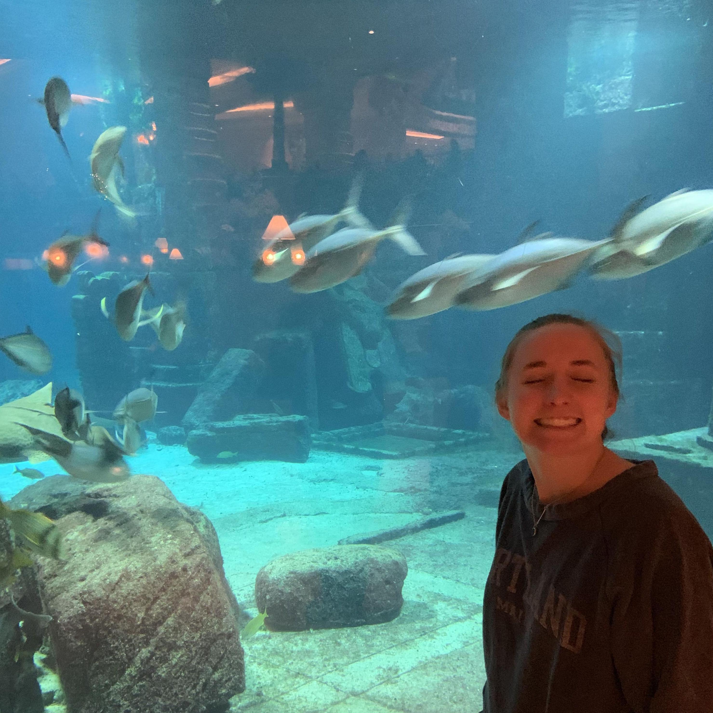 Atlantis Nassau Bahamas (2020)