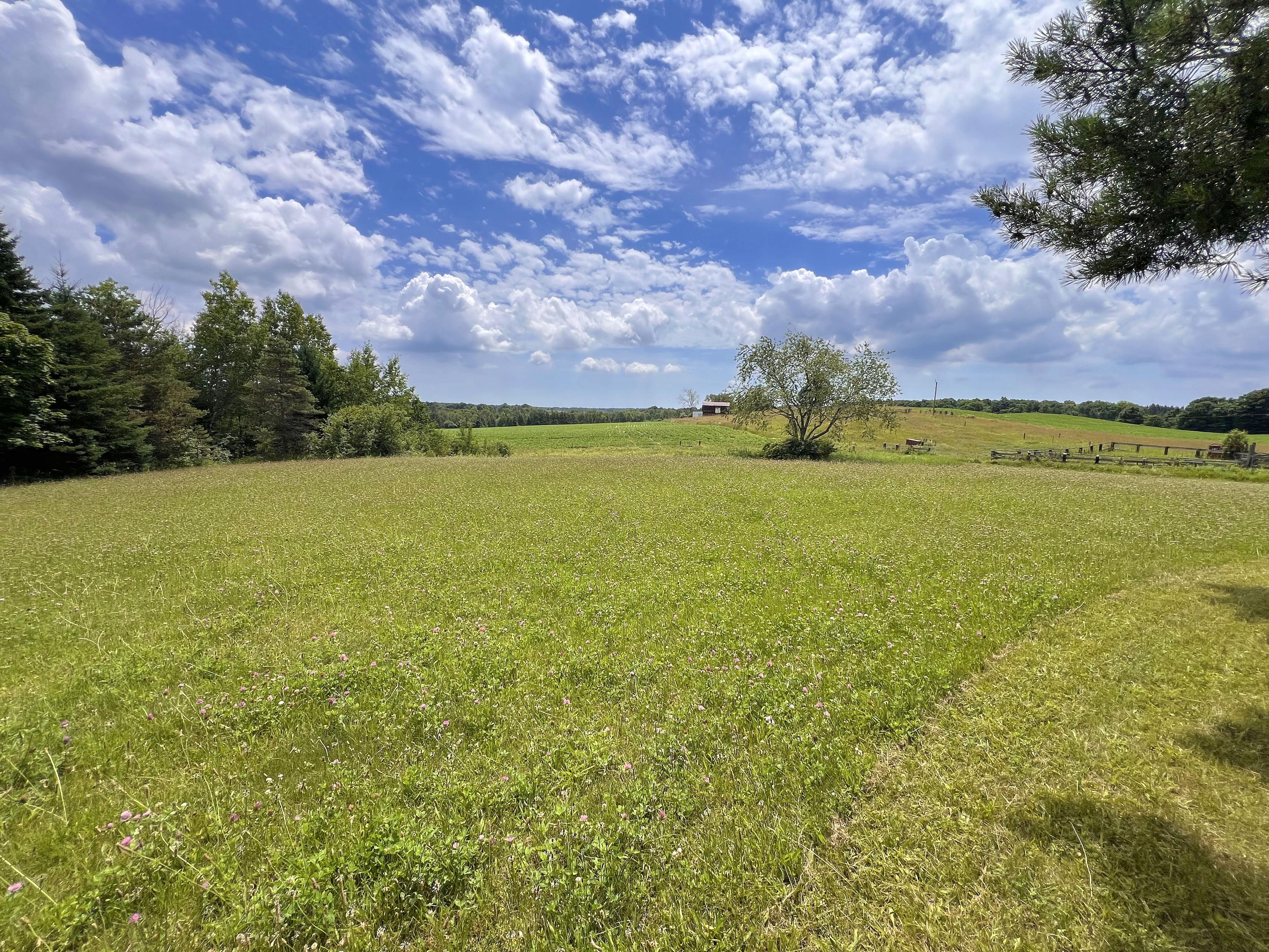 The Wedding Website of Destany Buchanan and Joseph Mayer