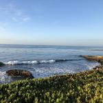 Santa Cruz