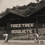 Tour de té - Boquete Tree Trek