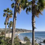 Laguna Beach