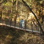 Deer Creek Tribute Trail