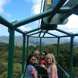 Rainforest Sky Rides