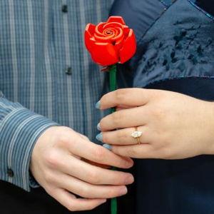 Our Newlywed Fund
