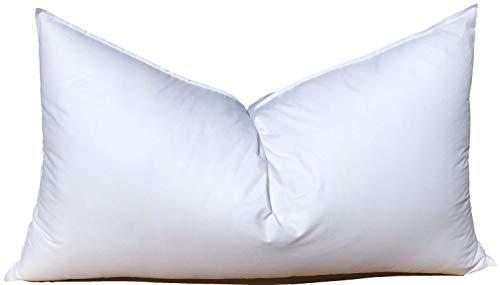 Pillowflex Synthetic Down Pillow Insert for Sham Aka Faux/Alternative (16 Inch by 26 Inch)
