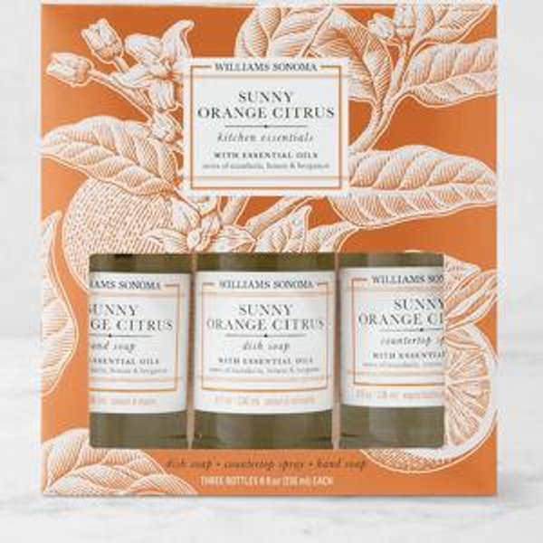 Williams Sonoma Sunny Orange Citrus Kitchen Set