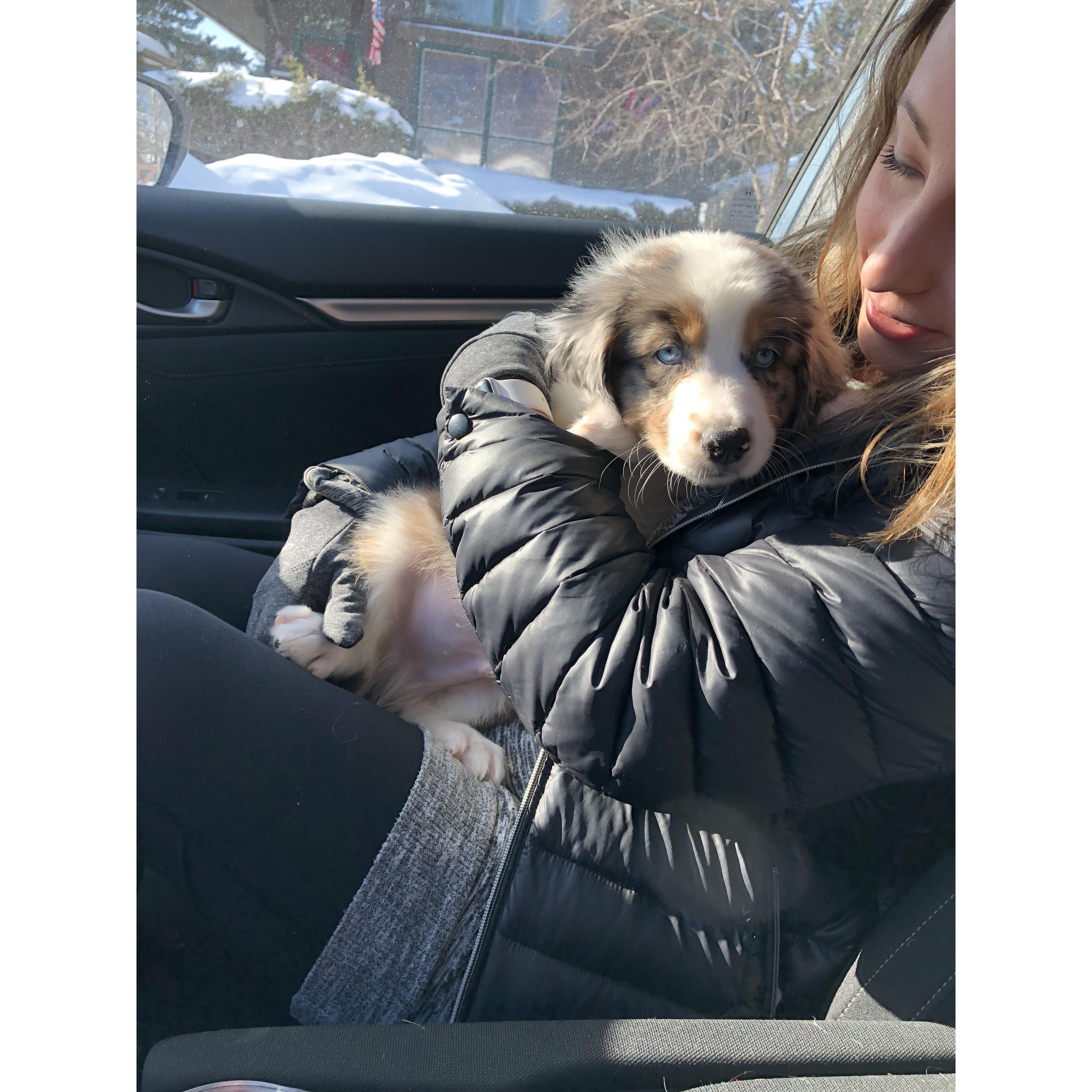 First day with baby Len 🐶