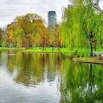 Boston Common