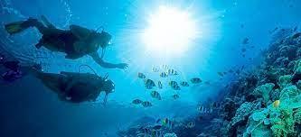 The Wedding Website of Ashley Rowe and Michael Cusumano