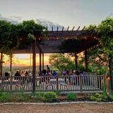 Driftwood Estate Winery