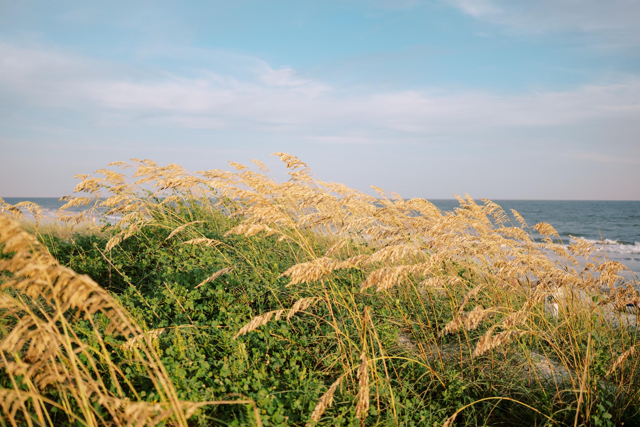 The Wedding Website of Marisa Wetzel and Brad Halperin