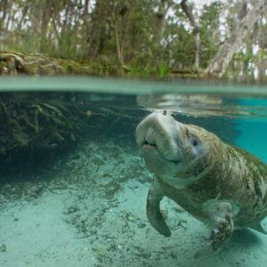 Sian Ka'an Biosphere Reserve Tour
