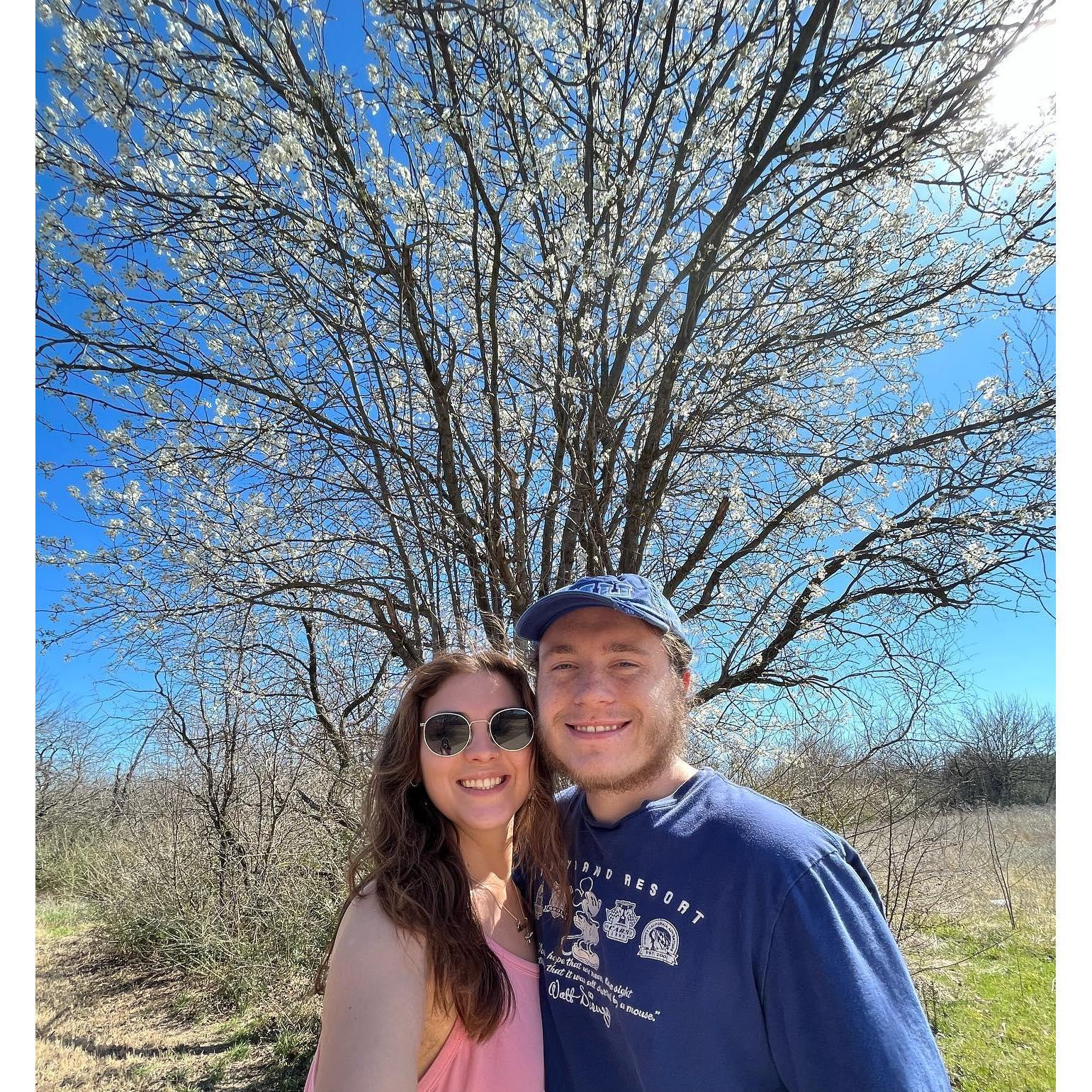 I am a certified tree lover, what about you?