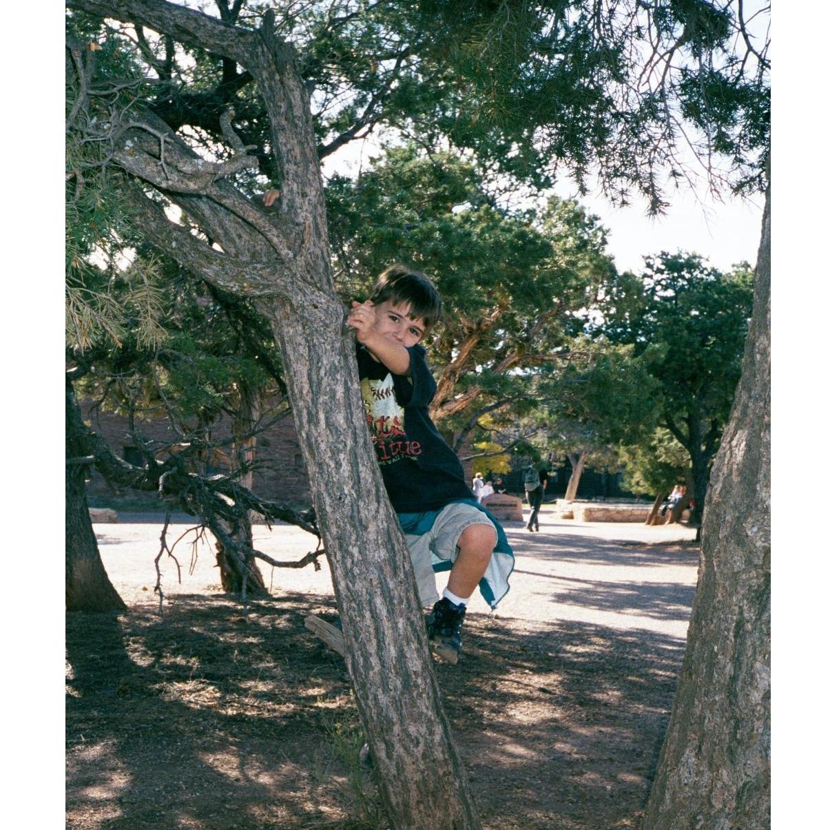 Mark monkeying around (2000)