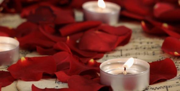 The Wedding Website of Jade Tobias and Joseph Croce