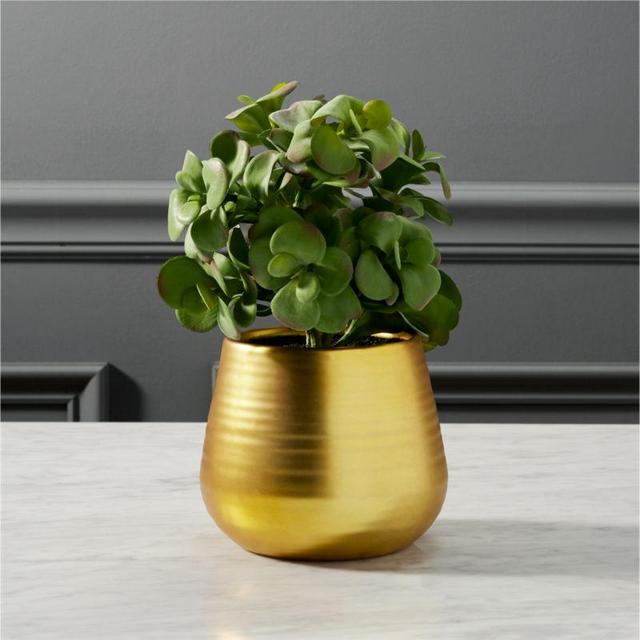 CB2 Potted Faux Eucalyptus Plant