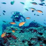 Excursion Maritime