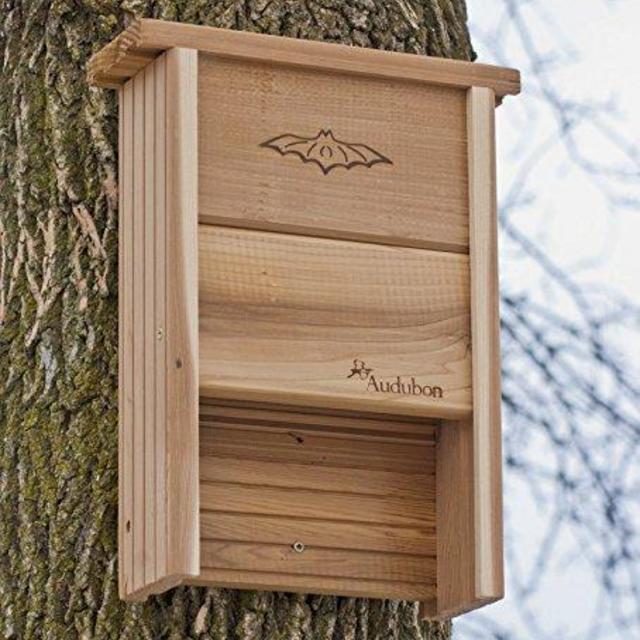 Audubon Bat Shelter Model NABAT