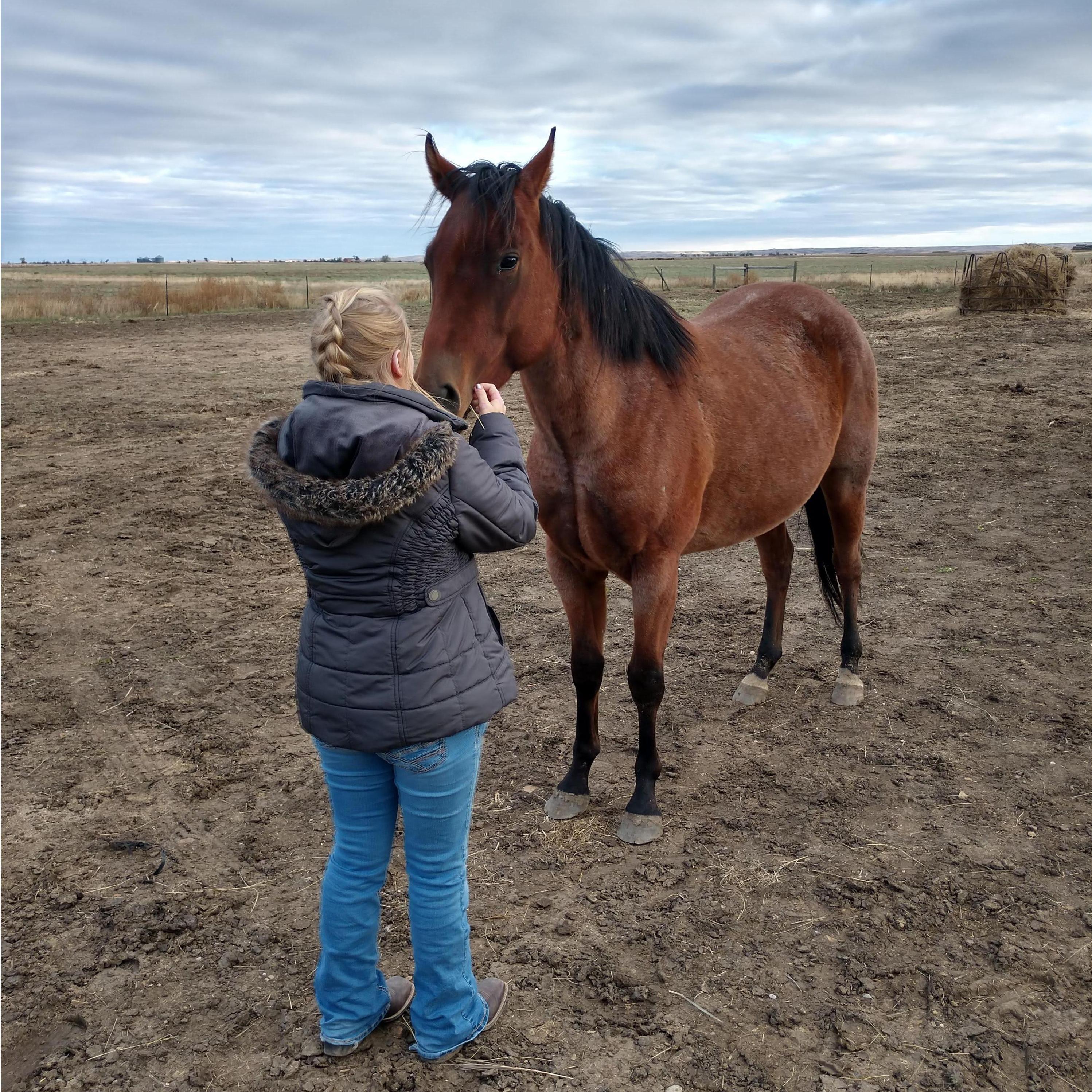 Trip to see my parents and my horse