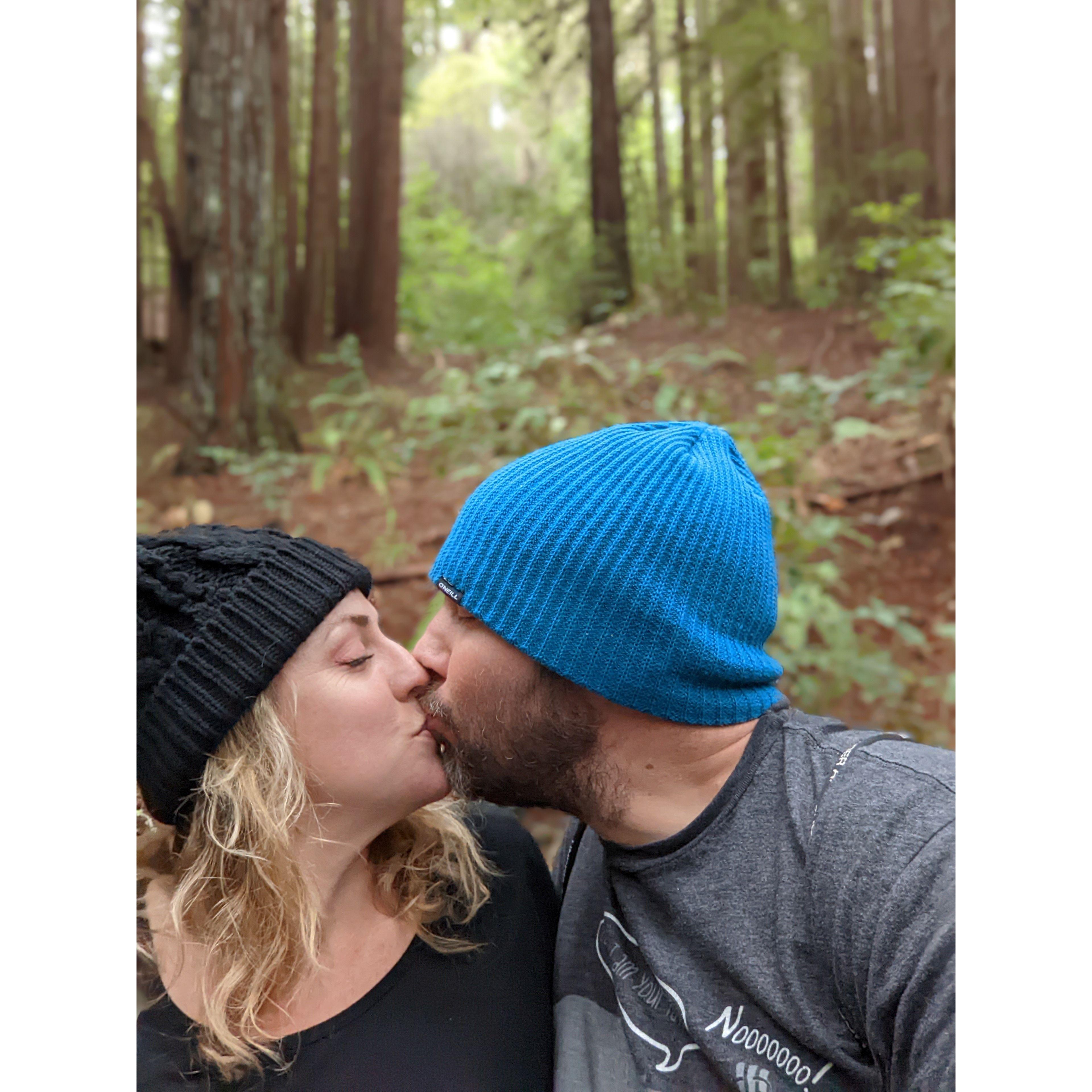 Santa Cruz Redwoods January 2022