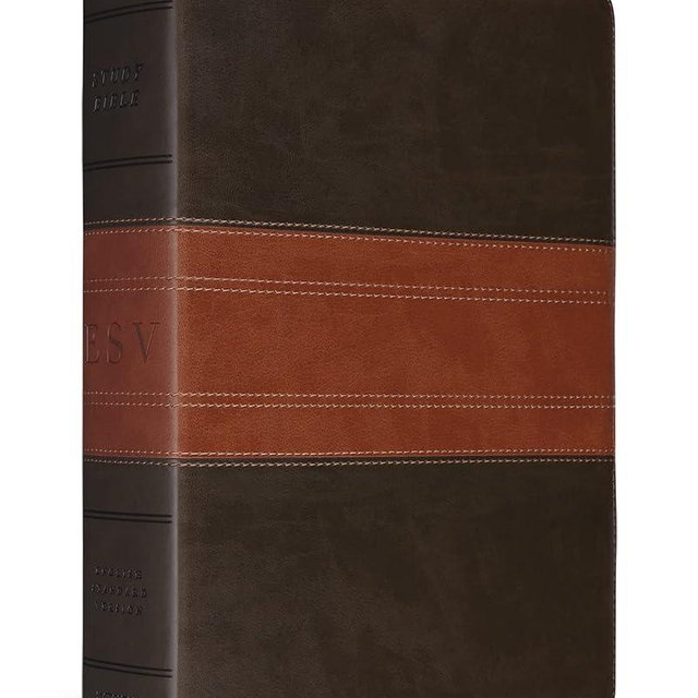 ESV Study Bible (TruTone, Forest/Tan, Trail Design)
