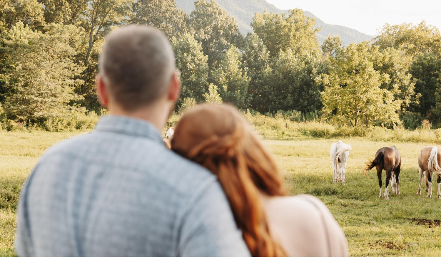 The Wedding Website of Allee Webb and Joshua McDonald