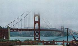 The Wedding Website of Tawny Guillen and William Drake