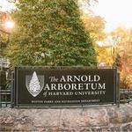 Arnold Arboretum of Harvard University