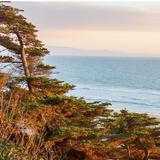 Manresa Main State Beach