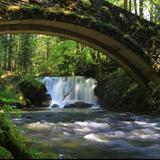 Whatcom Falls Park