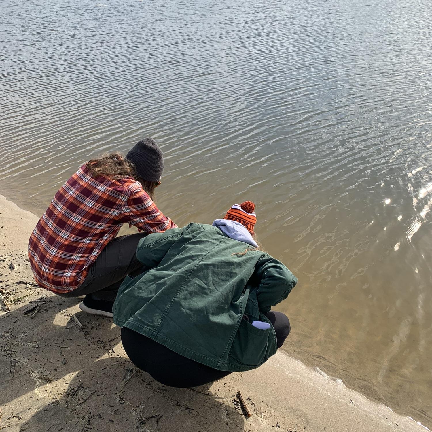 We love looking at little sea creatures.