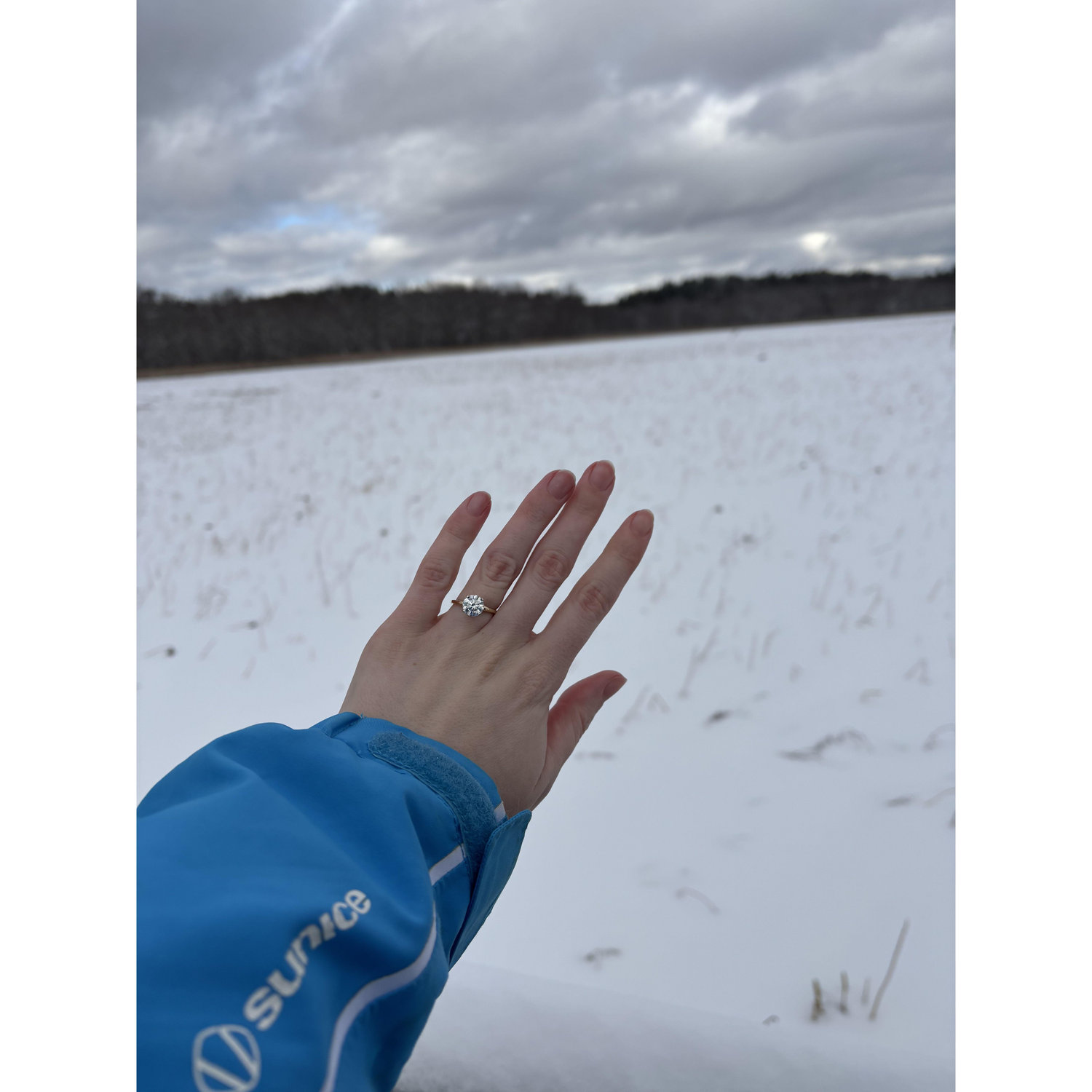 Engagement in February 2025