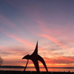 Olympic Sculpture Park
