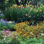 Dallas Arboretum