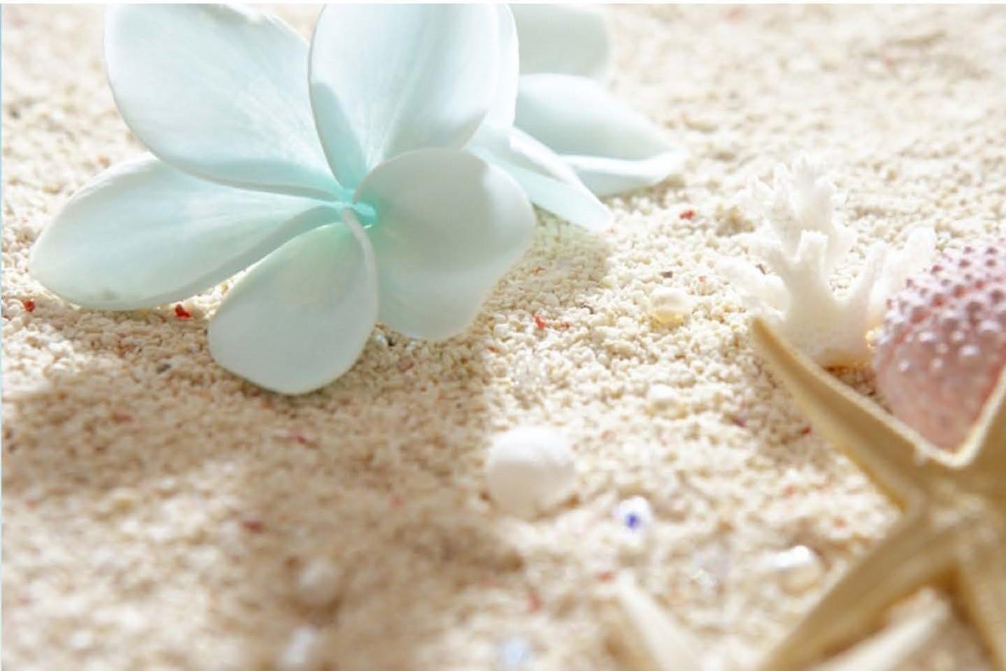 The Wedding Website of Jacqueline Carrington and Andre' Carrington