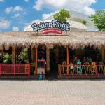 Senor Frog's Playa del Carmen